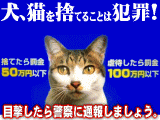 2012.11.7　パルディー因島店の動物遺棄問題