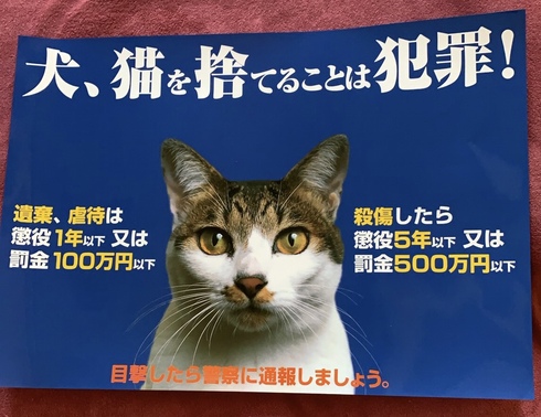 尾道　猫の殺傷事件から数日…