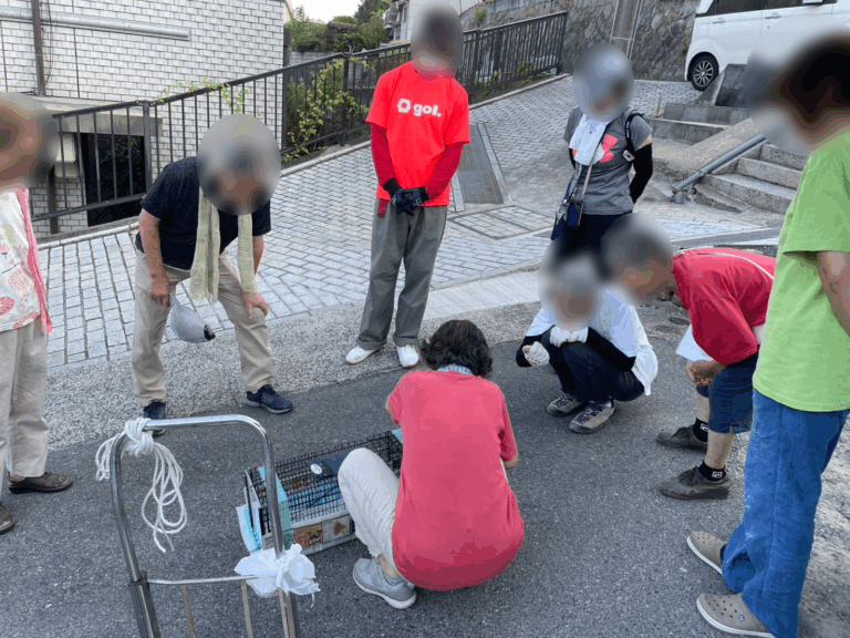 【真夏の野良猫捕獲活動は1年の中で、もっとも過酷！深夜から早朝に始動】