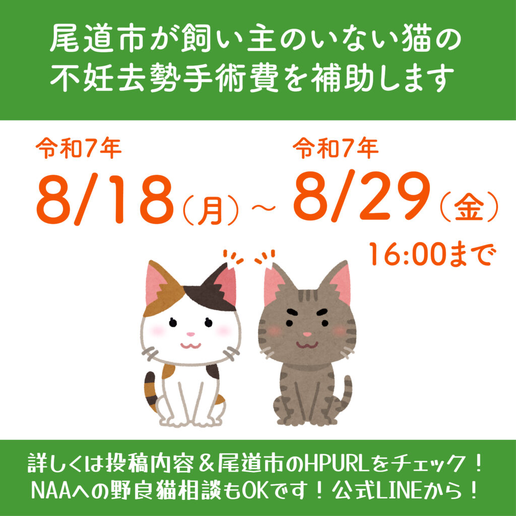 尾道市の野良猫手術補助金が8月18日から受付開始🔥