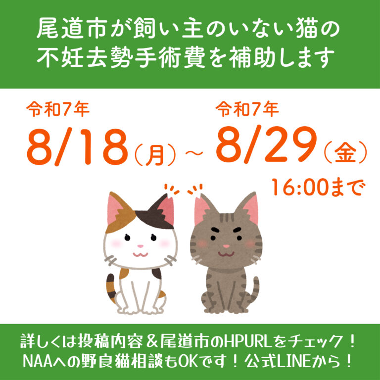 尾道市の野良猫手術補助金が8月18日から受付開始🔥